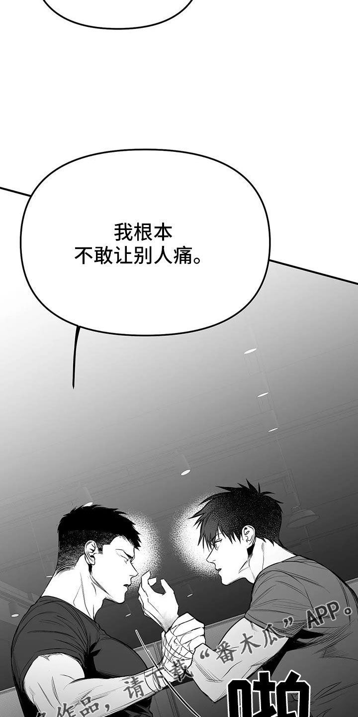 《拳击手》漫画最新章节第215章：【第三季】不像自己免费下拉式在线观看章节第【20】张图片