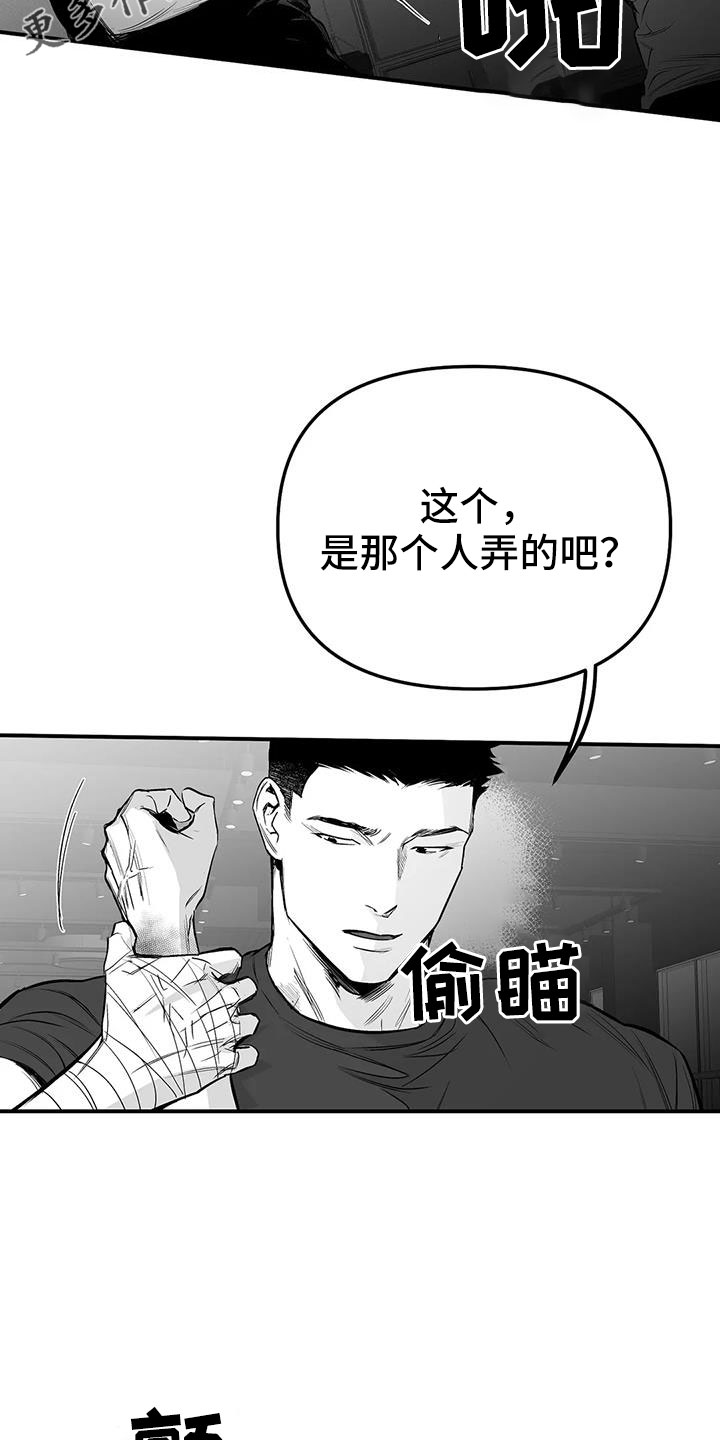 《拳击手》漫画最新章节第215章：【第三季】不像自己免费下拉式在线观看章节第【19】张图片