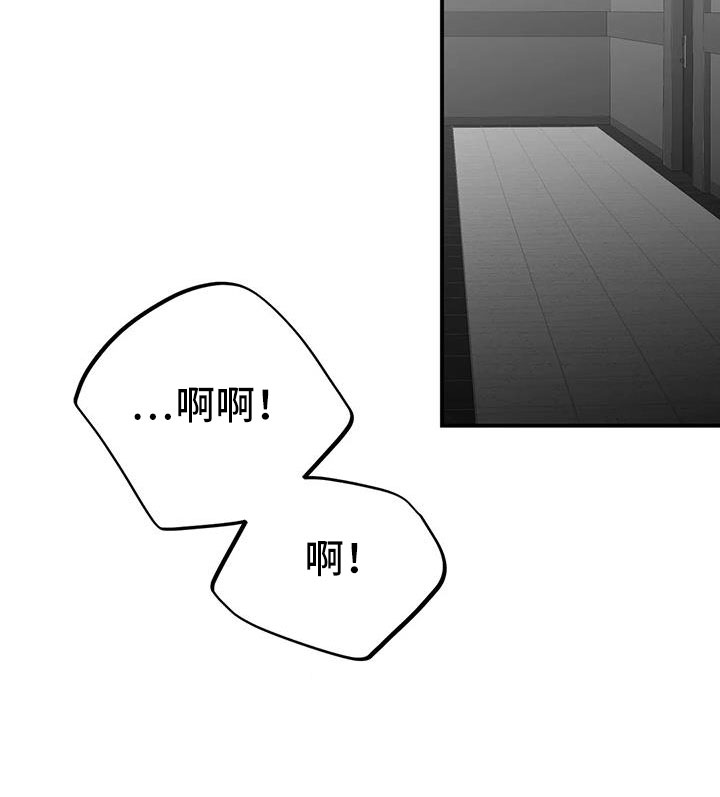 《拳击手》漫画最新章节第216章：【第三季】不适合你免费下拉式在线观看章节第【13】张图片