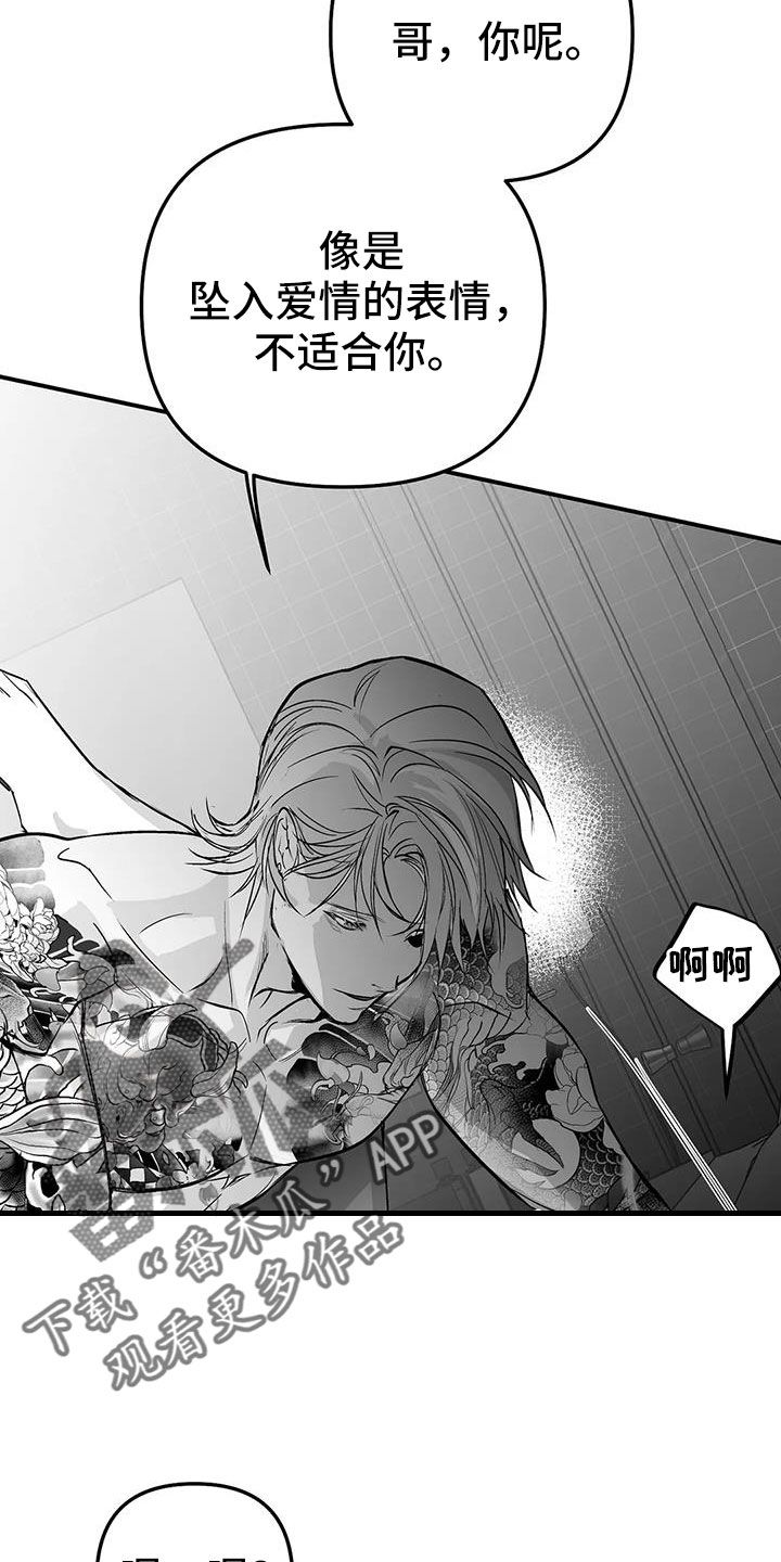 《拳击手》漫画最新章节第216章：【第三季】不适合你免费下拉式在线观看章节第【5】张图片