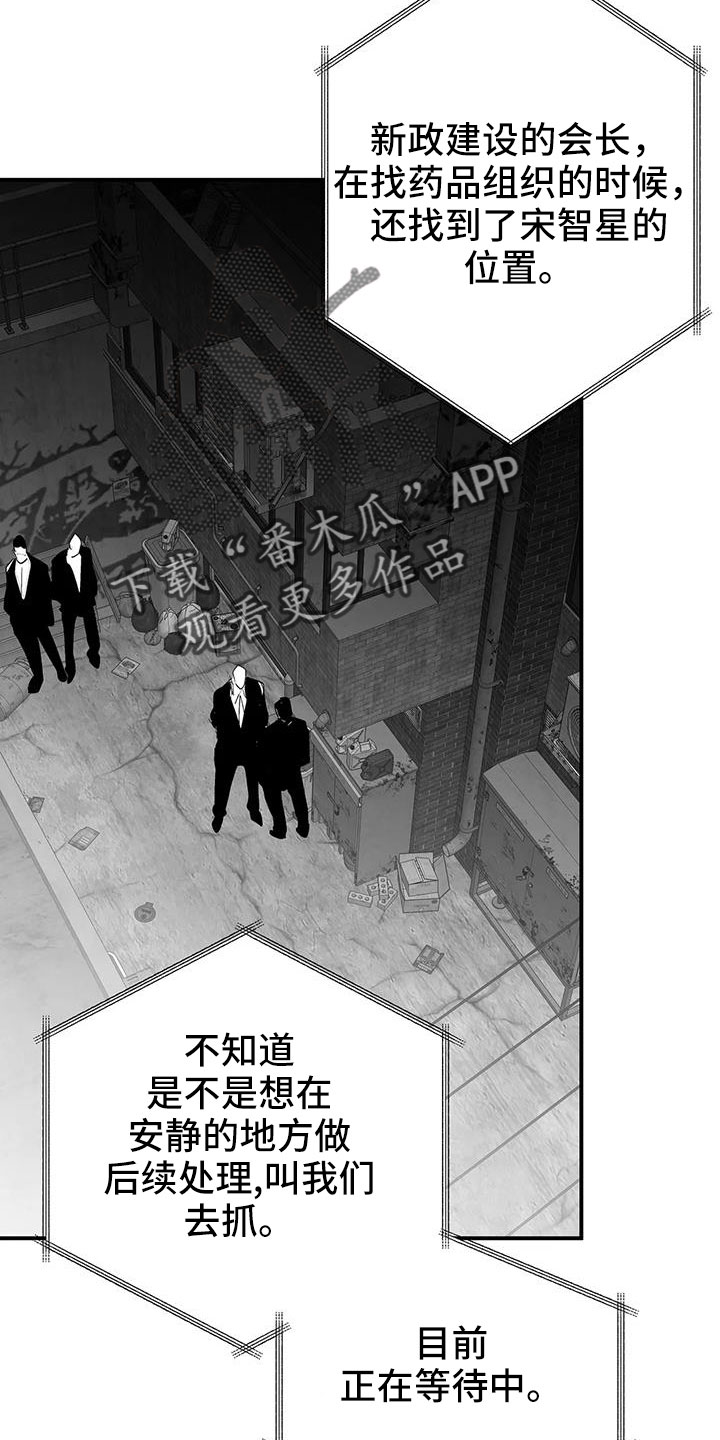 《拳击手》漫画最新章节第217章：【第三季】戒指免费下拉式在线观看章节第【4】张图片