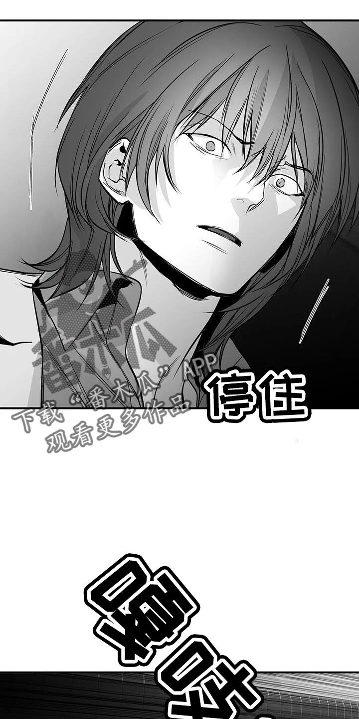 《拳击手》漫画最新章节第221章：【第三季】死了免费下拉式在线观看章节第【17】张图片