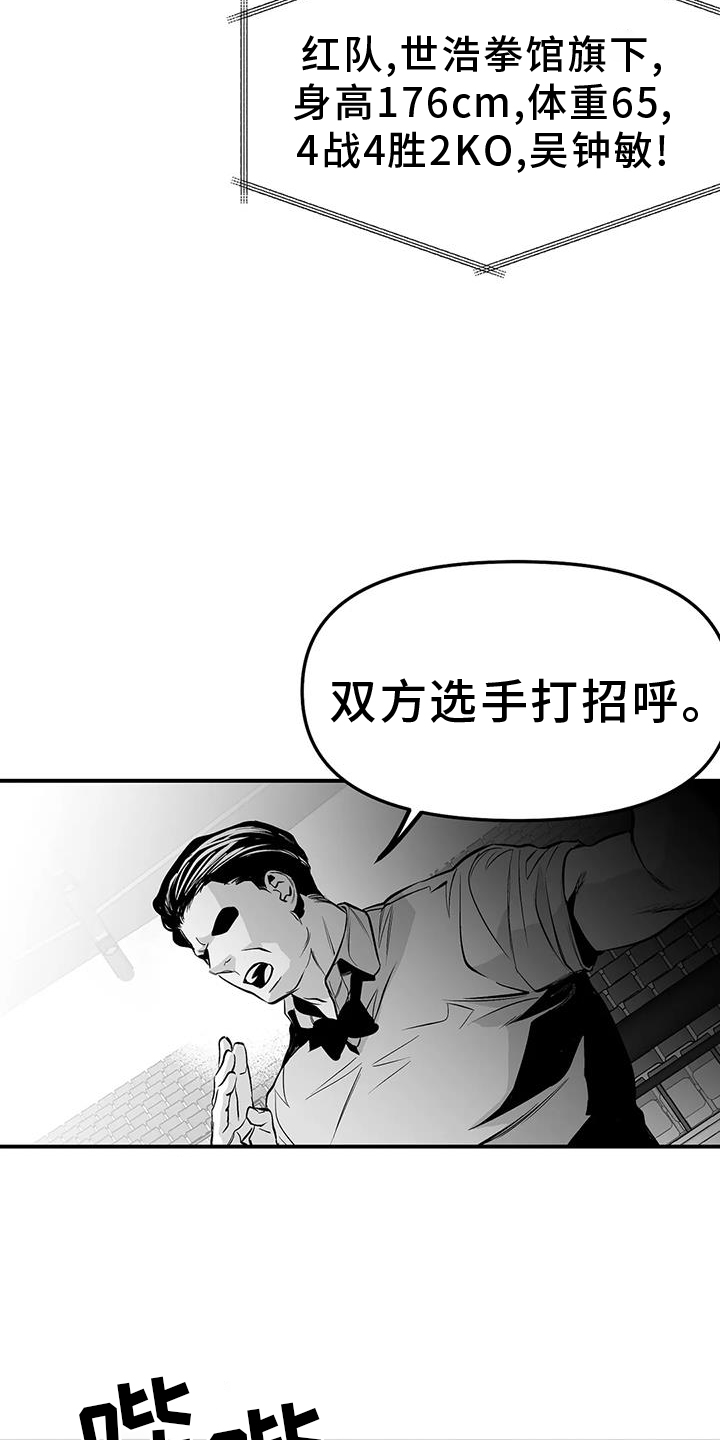 《拳击手》漫画最新章节第226章：【第三季】比赛免费下拉式在线观看章节第【16】张图片