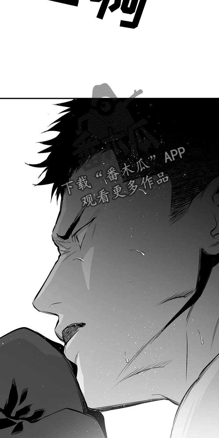 《拳击手》漫画最新章节第226章：【第三季】比赛免费下拉式在线观看章节第【9】张图片