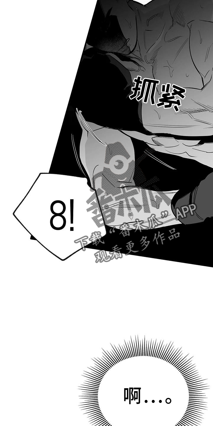 《拳击手》漫画最新章节第227章：【第三季】站起免费下拉式在线观看章节第【17】张图片