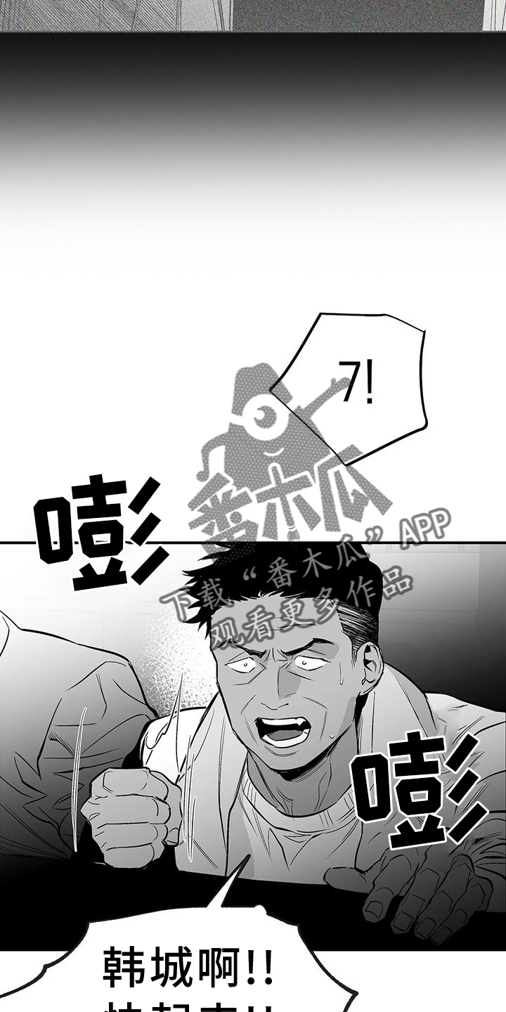 《拳击手》漫画最新章节第227章：【第三季】站起免费下拉式在线观看章节第【11】张图片