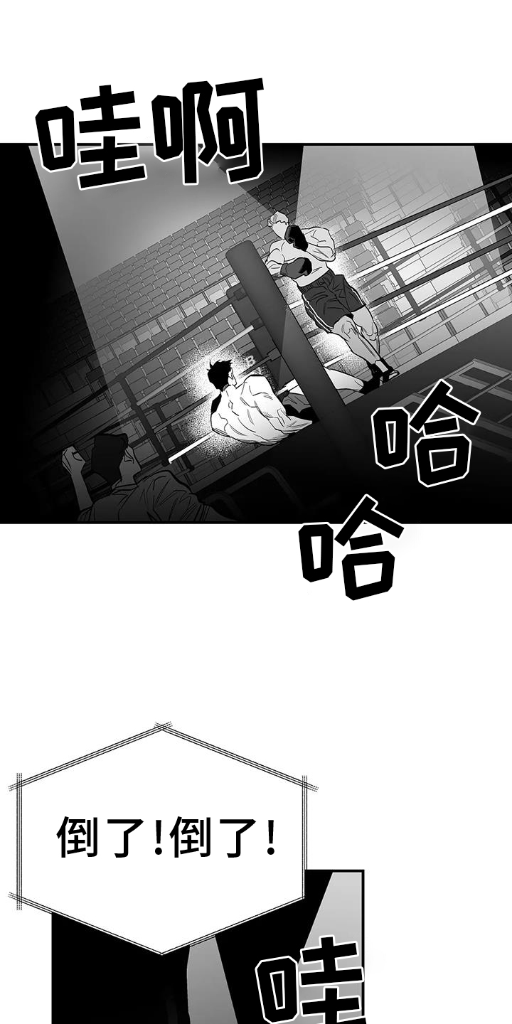 《拳击手》漫画最新章节第227章：【第三季】站起免费下拉式在线观看章节第【24】张图片