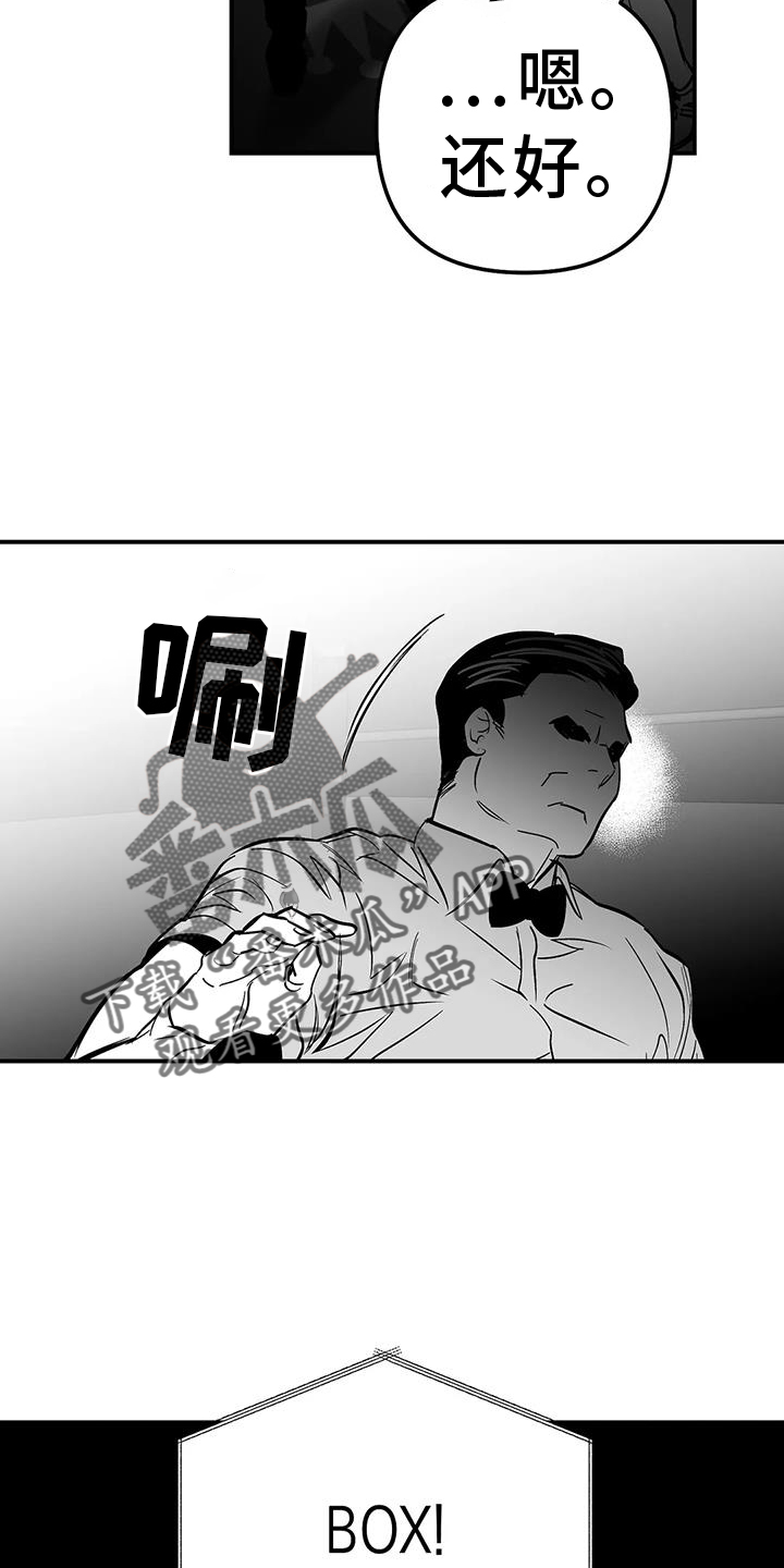 《拳击手》漫画最新章节第227章：【第三季】站起免费下拉式在线观看章节第【3】张图片