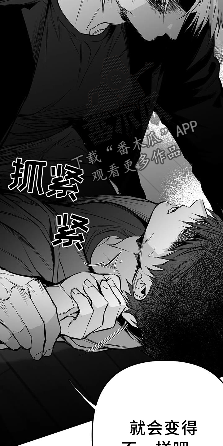 《拳击手》漫画最新章节第232章：【第三季】不要讨厌我免费下拉式在线观看章节第【11】张图片