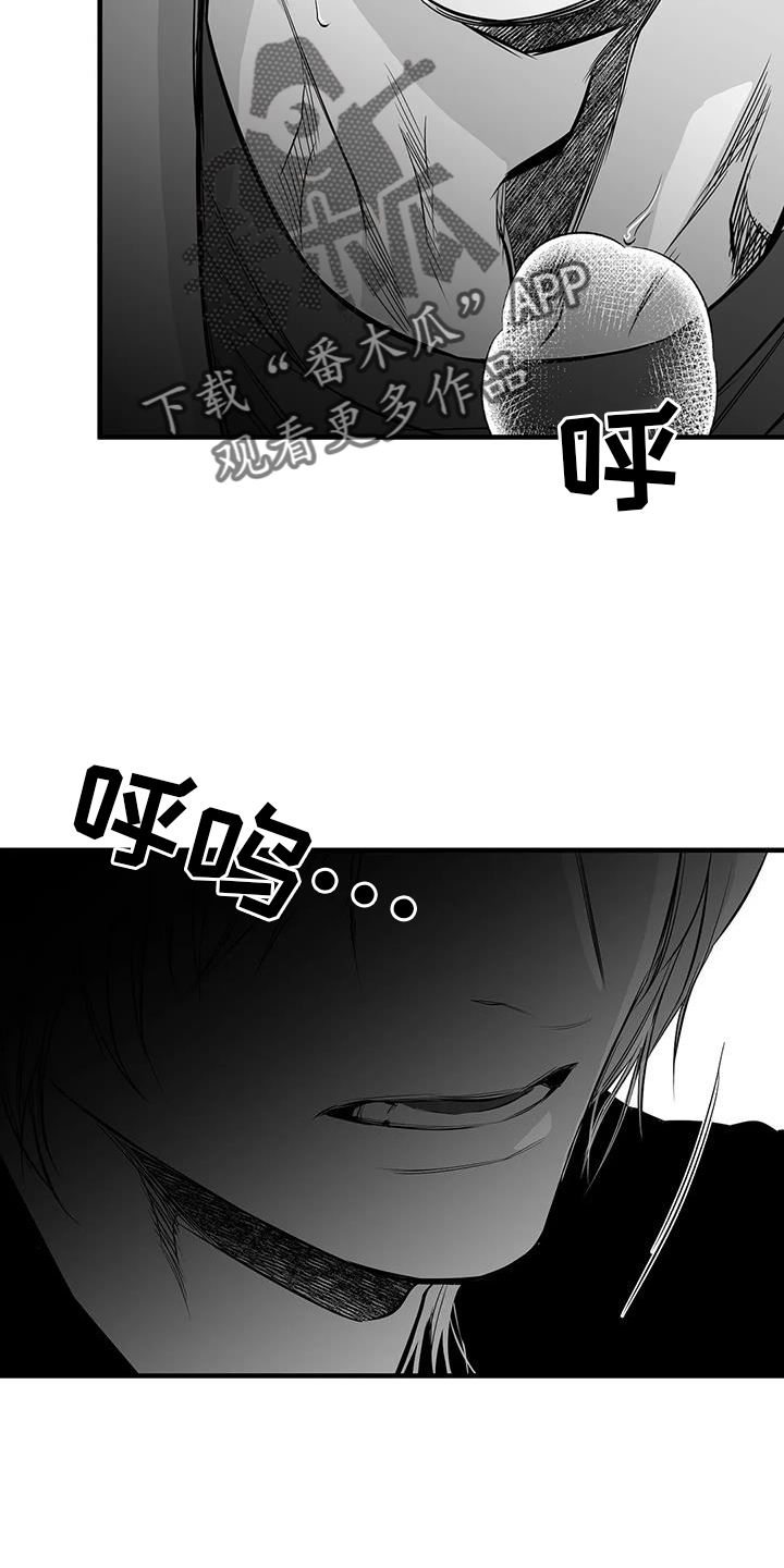 《拳击手》漫画最新章节第232章：【第三季】不要讨厌我免费下拉式在线观看章节第【31】张图片