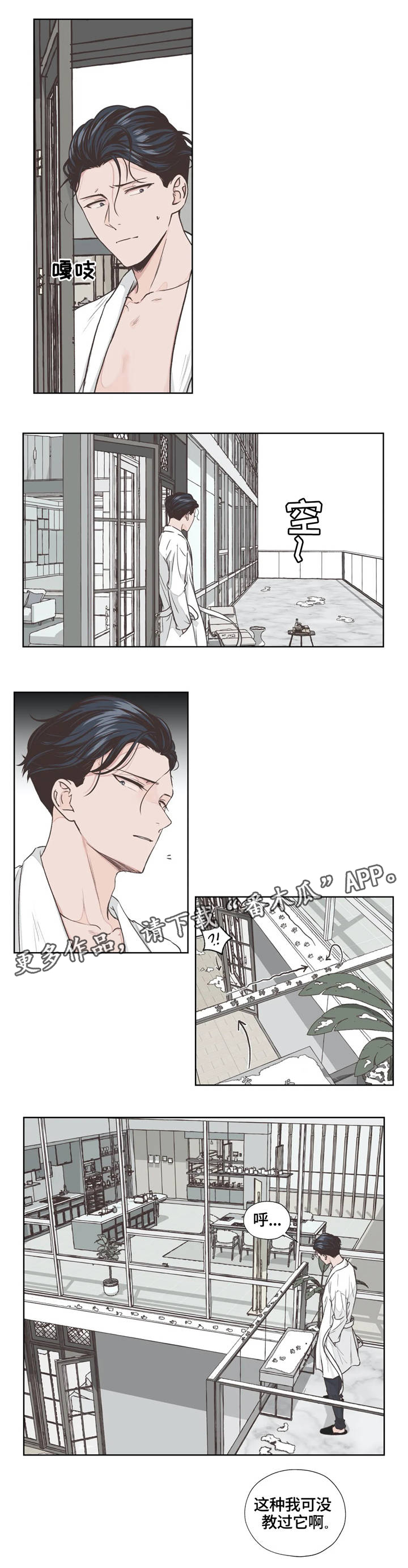 《永恒的牢笼》漫画最新章节第4章：寻找免费下拉式在线观看章节第【10】张图片