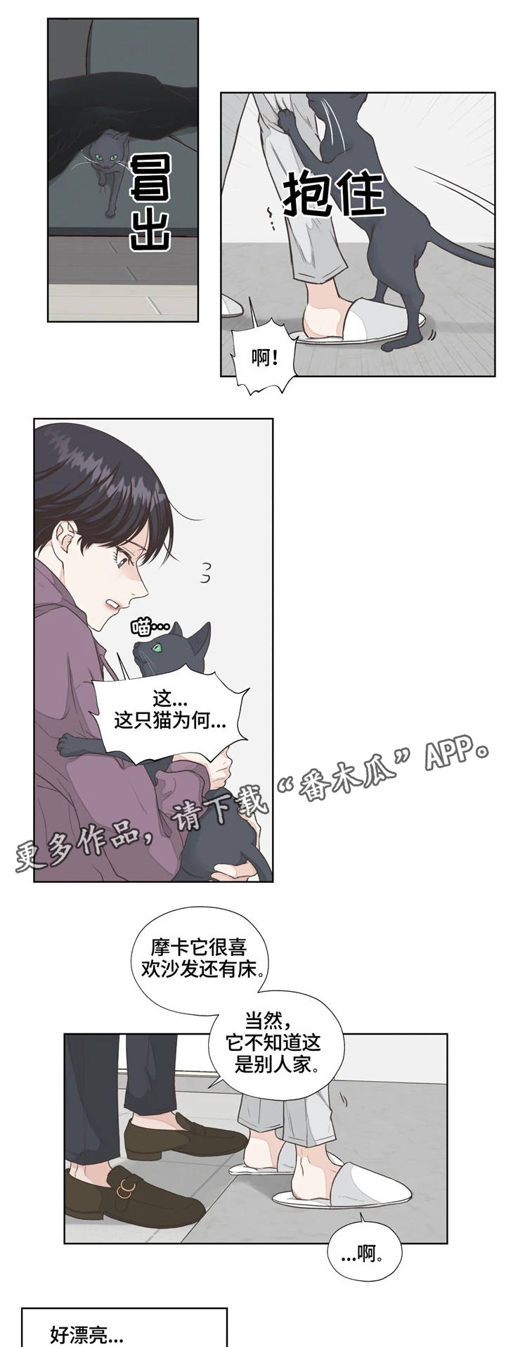 《永恒的牢笼》漫画最新章节第4章：寻找免费下拉式在线观看章节第【2】张图片