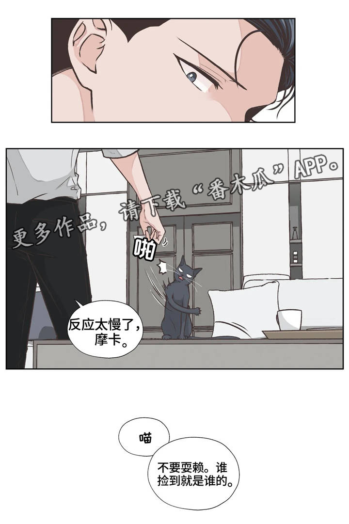 《永恒的牢笼》漫画最新章节第17章：职业免费下拉式在线观看章节第【1】张图片