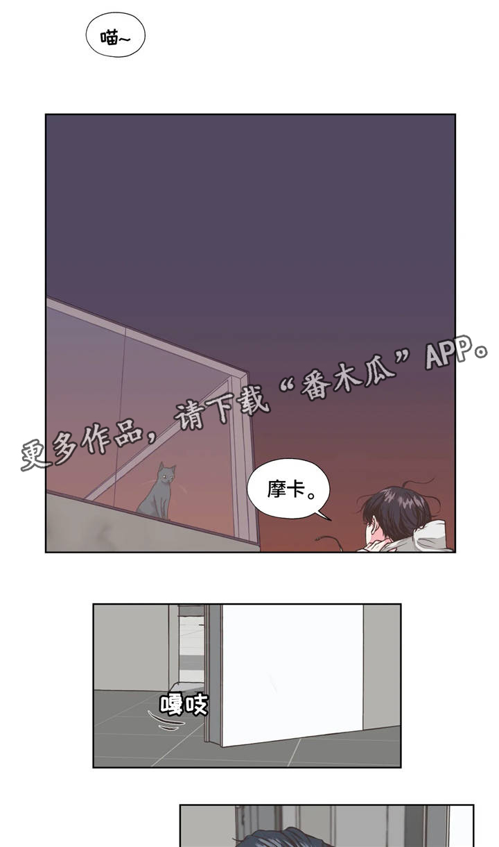 《永恒的牢笼》漫画最新章节第19章：回忆免费下拉式在线观看章节第【3】张图片