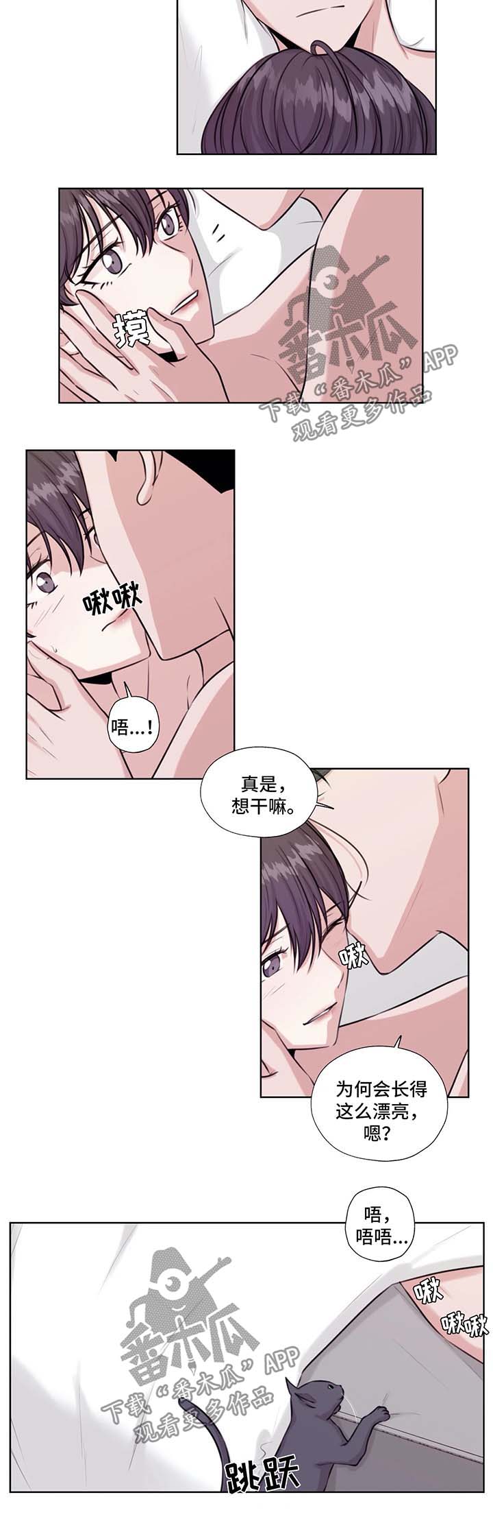 《永恒的牢笼》漫画最新章节第46章：在这生活吧免费下拉式在线观看章节第【9】张图片