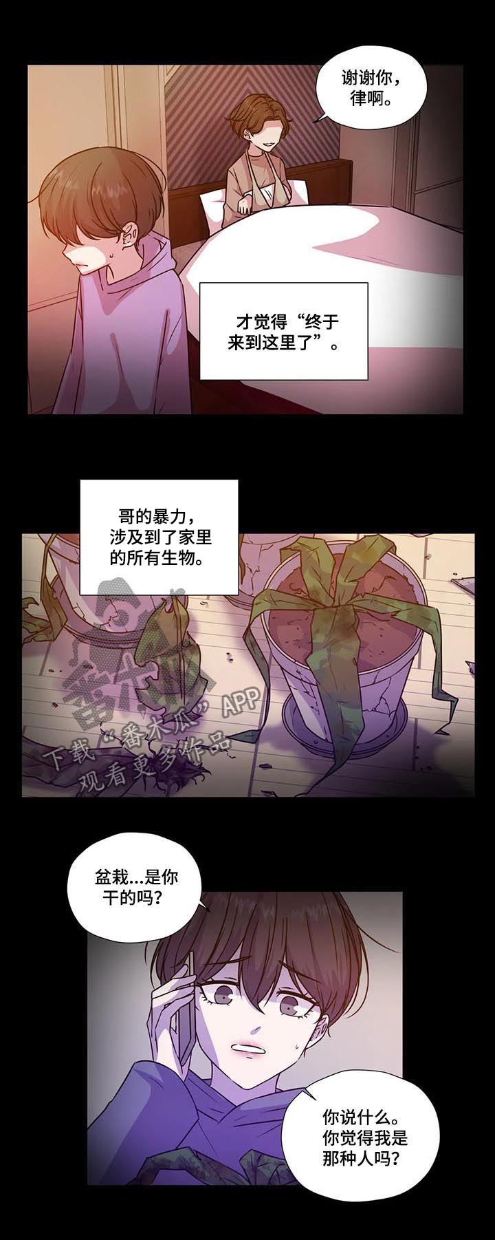 《永恒的牢笼》漫画最新章节第105章：【第二季】怕你受伤免费下拉式在线观看章节第【6】张图片