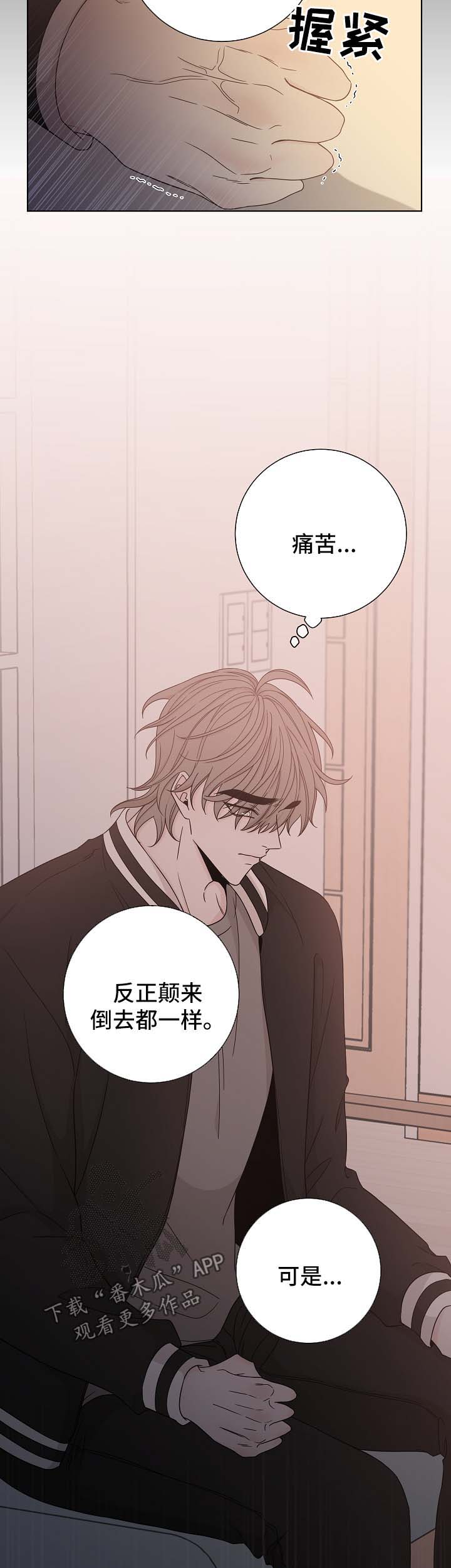 《大块头玩伴》漫画最新章节第61章：照片免费下拉式在线观看章节第【11】张图片