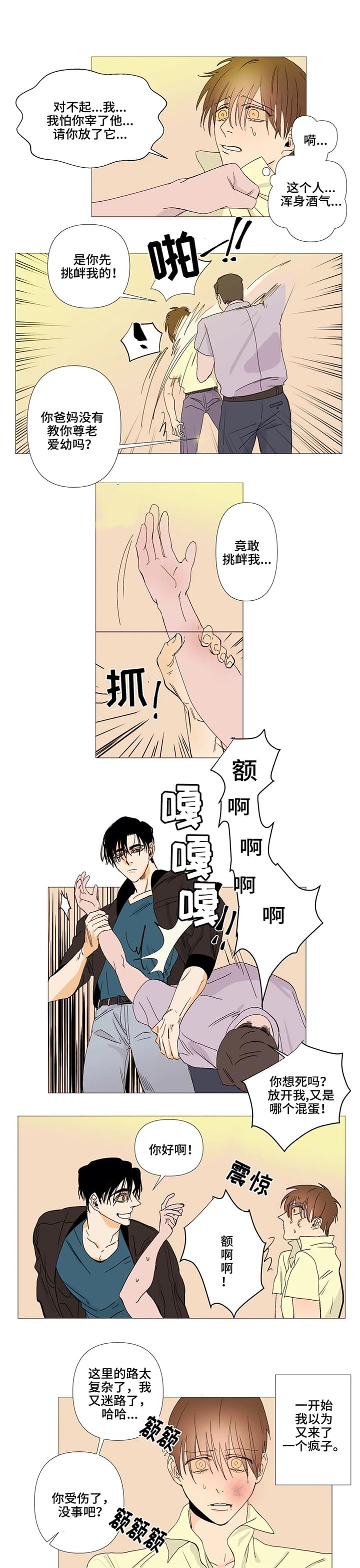 《青春初遇》漫画最新章节第2章：初遇免费下拉式在线观看章节第【3】张图片