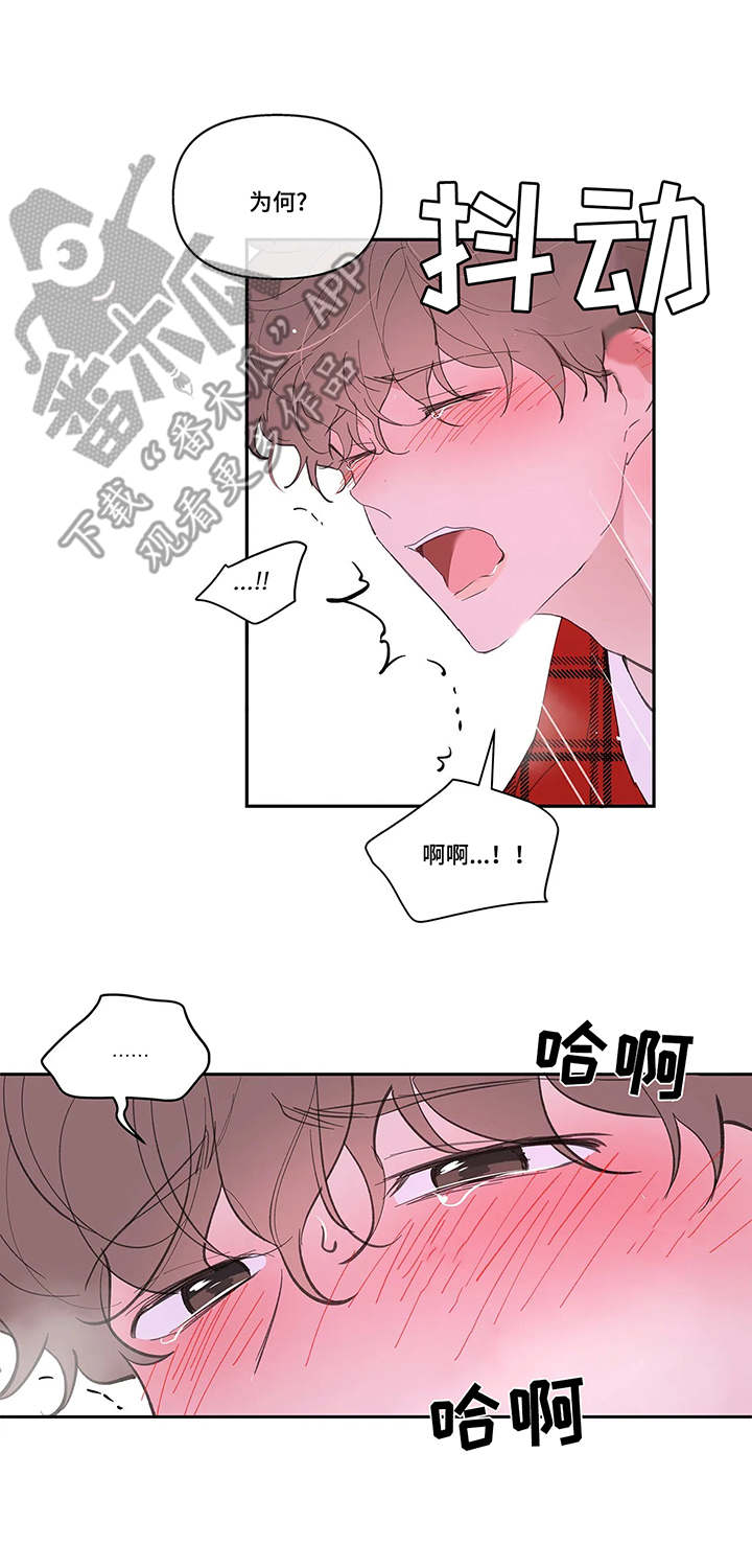 《学院代表》漫画最新章节第38章：看法免费下拉式在线观看章节第【7】张图片