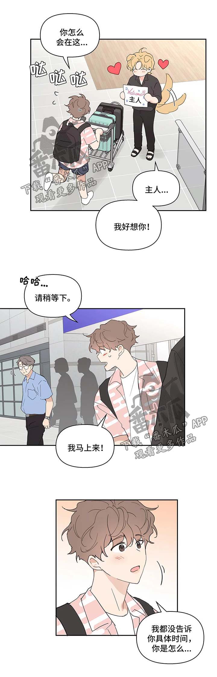 《学院代表》漫画最新章节第46章：国外旅行免费下拉式在线观看章节第【8】张图片