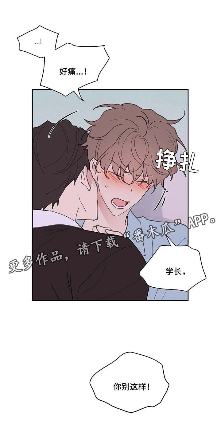 《学院代表》漫画最新章节第49章：别这样免费下拉式在线观看章节第【3】张图片