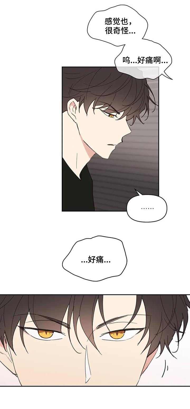 《学院代表》漫画最新章节第65章：你需要的免费下拉式在线观看章节第【7】张图片