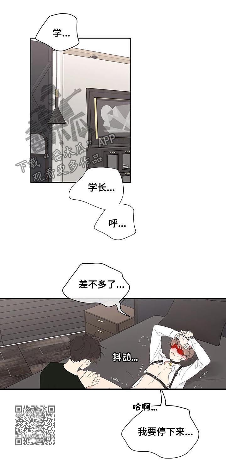 《学院代表》漫画最新章节第65章：你需要的免费下拉式在线观看章节第【10】张图片