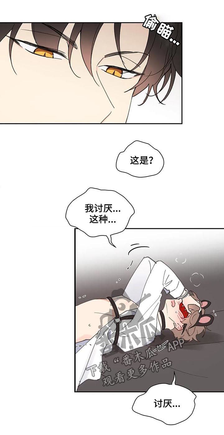 《学院代表》漫画最新章节第65章：你需要的免费下拉式在线观看章节第【8】张图片