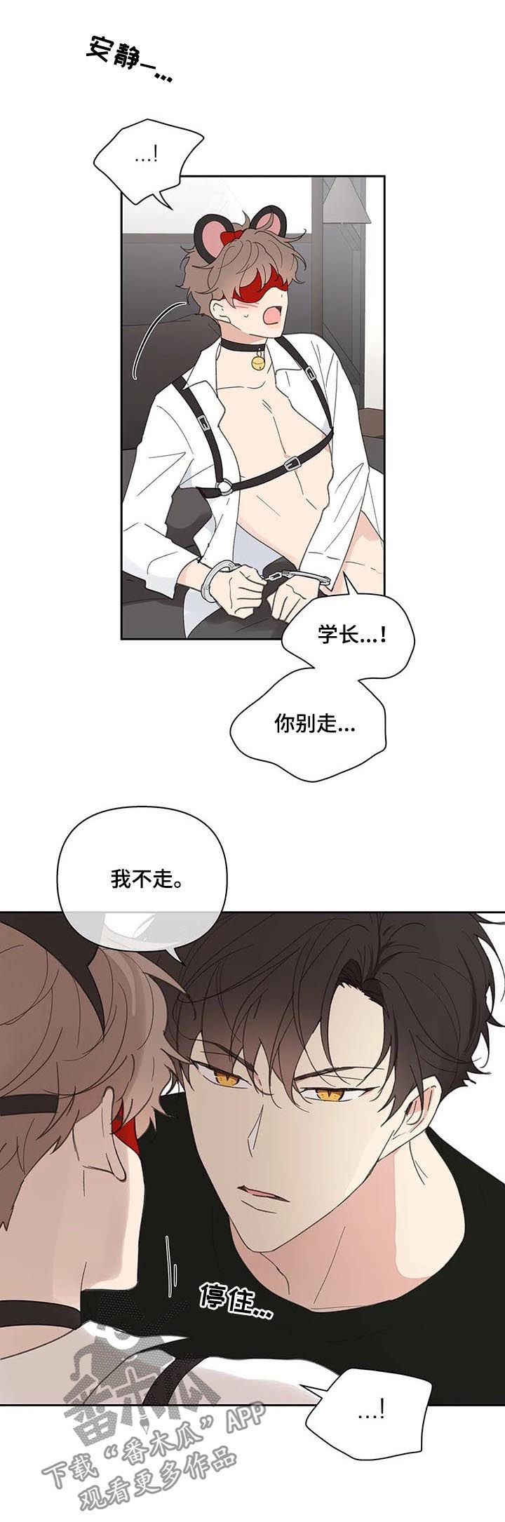 《学院代表》漫画最新章节第65章：你需要的免费下拉式在线观看章节第【3】张图片