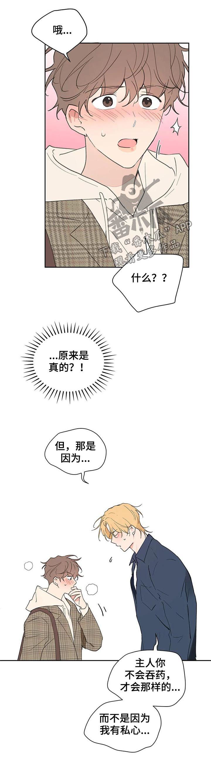 《学院代表》漫画最新章节第114章：我也没有期待免费下拉式在线观看章节第【12】张图片