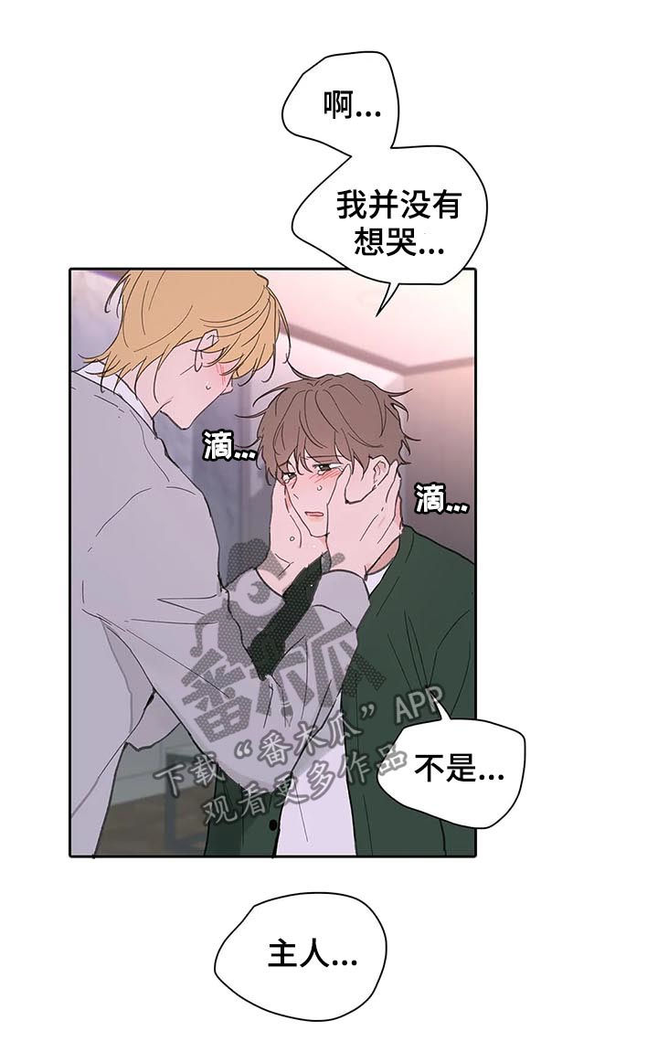 《学院代表》漫画最新章节第125章：生日（第二季完结）免费下拉式在线观看章节第【10】张图片