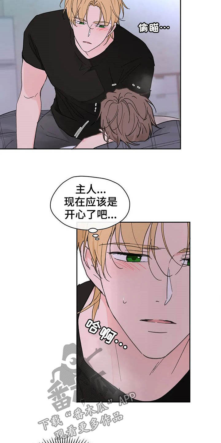 《学院代表》漫画最新章节第135章：【番外】可以吧免费下拉式在线观看章节第【12】张图片