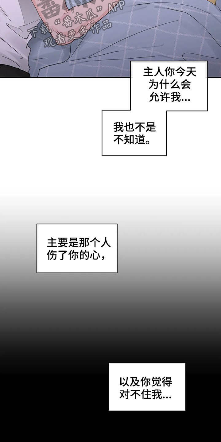 《学院代表》漫画最新章节第138章：【番外】不会道歉免费下拉式在线观看章节第【8】张图片