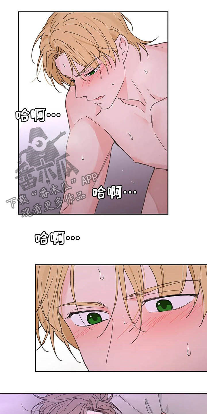 《学院代表》漫画最新章节第138章：【番外】不会道歉免费下拉式在线观看章节第【16】张图片