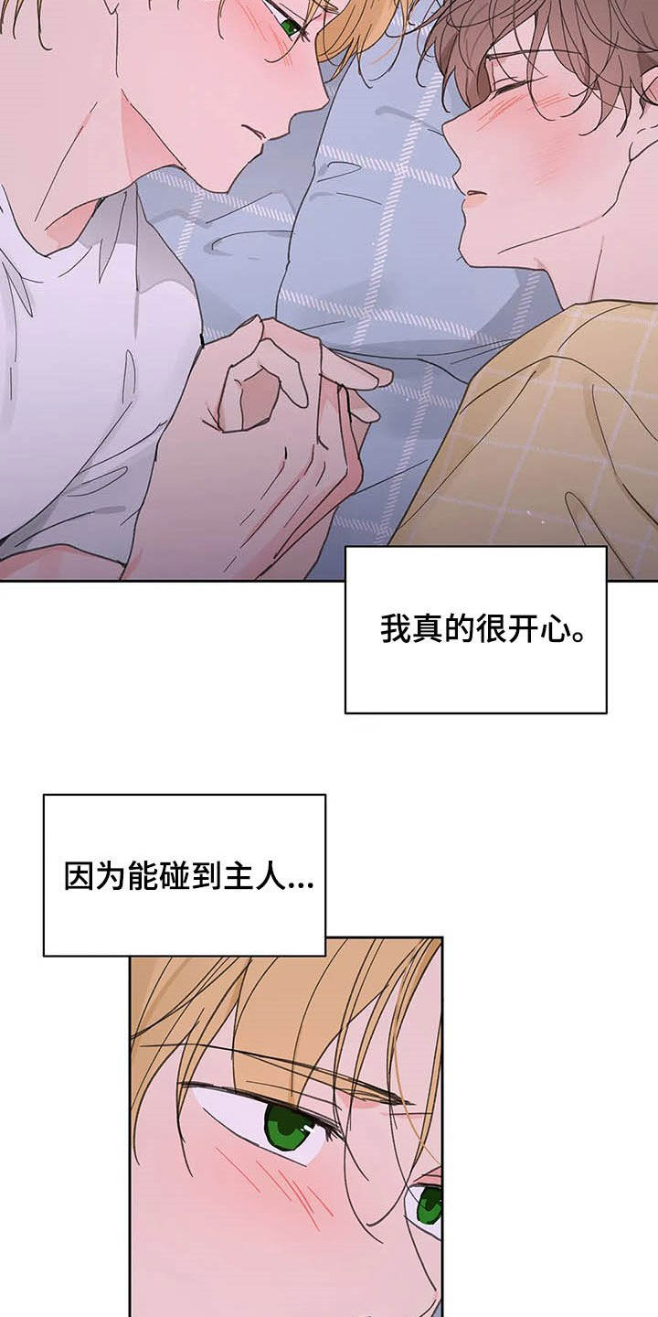 《学院代表》漫画最新章节第138章：【番外】不会道歉免费下拉式在线观看章节第【5】张图片