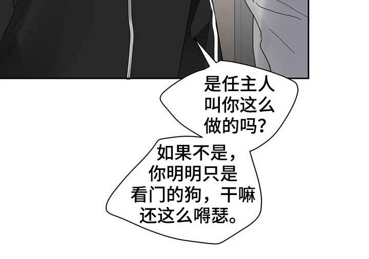 《学院代表》漫画最新章节第139章：【番外】重拳免费下拉式在线观看章节第【15】张图片