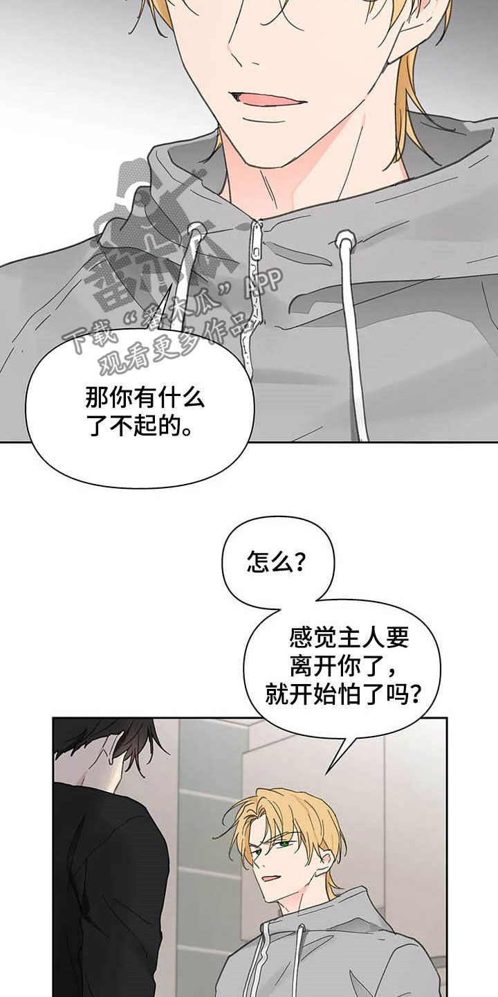 《学院代表》漫画最新章节第139章：【番外】重拳免费下拉式在线观看章节第【11】张图片