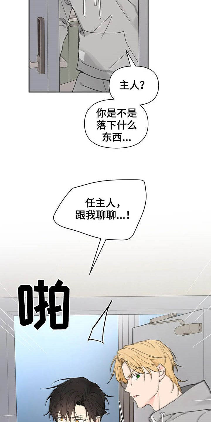 《学院代表》漫画最新章节第139章：【番外】重拳免费下拉式在线观看章节第【19】张图片