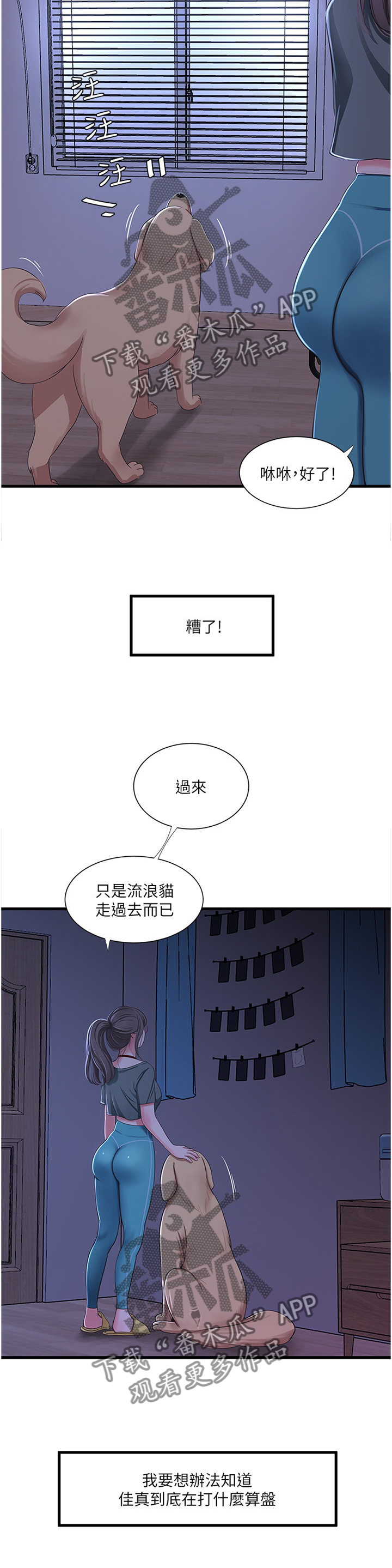 《特别照顾》漫画最新章节第66章：每个人的秘密免费下拉式在线观看章节第【4】张图片