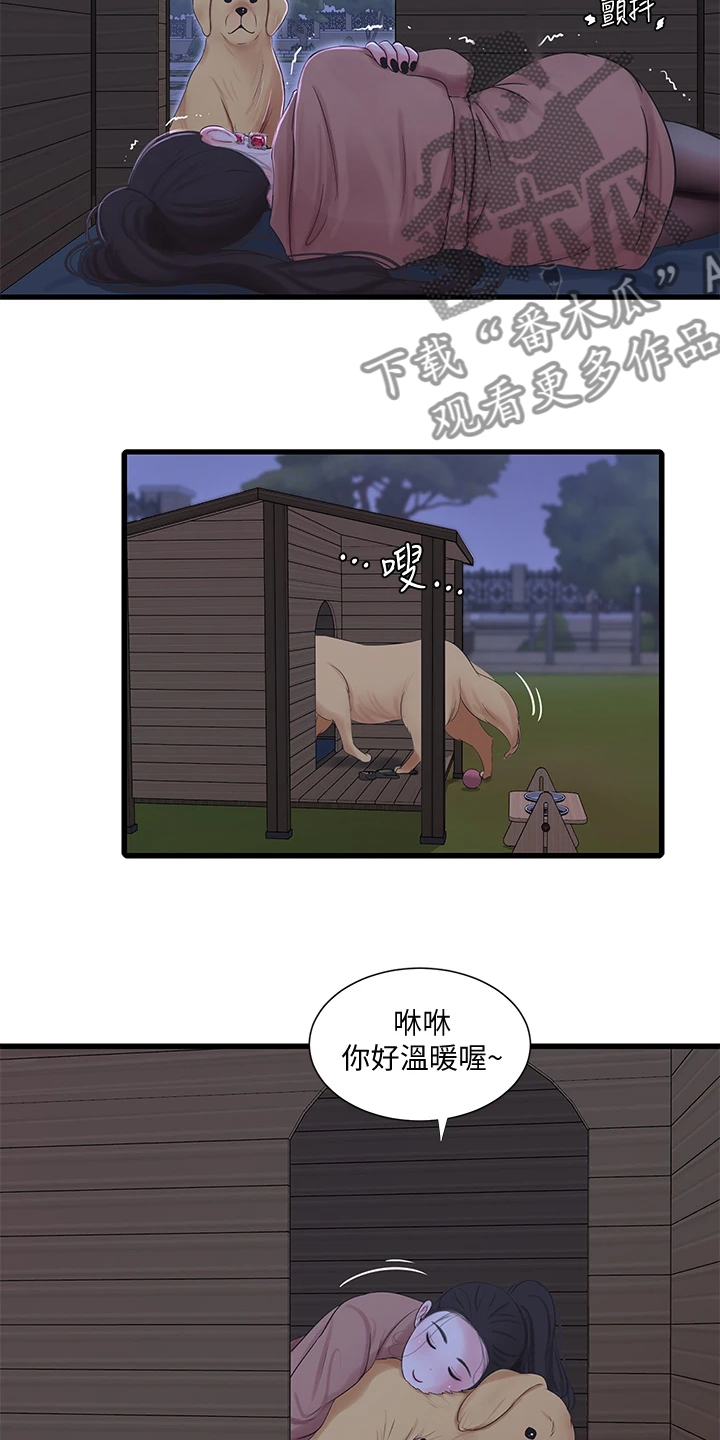 《特别照顾》漫画最新章节第134章：可怜的狗子免费下拉式在线观看章节第【20】张图片