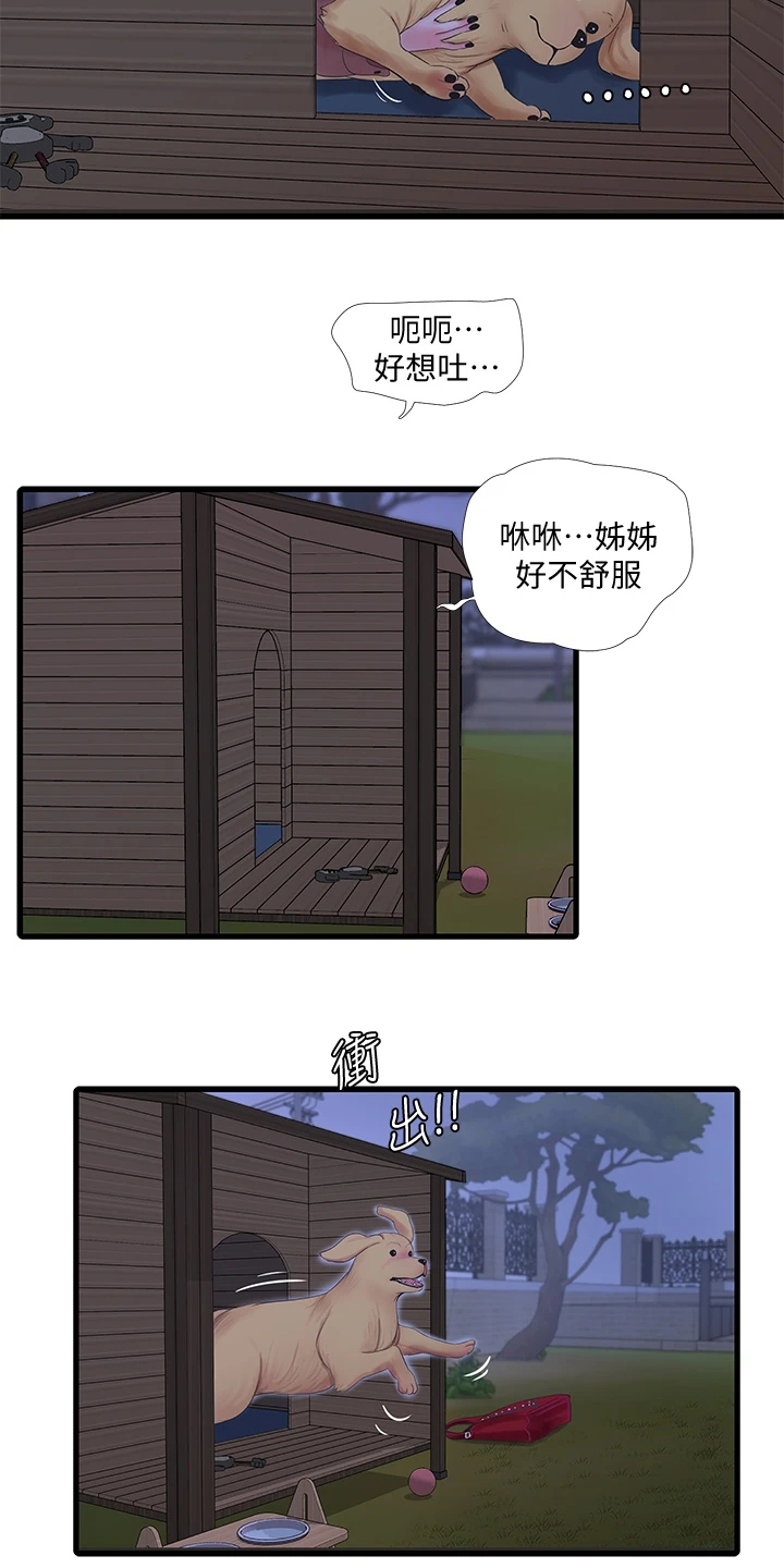 《特别照顾》漫画最新章节第134章：可怜的狗子免费下拉式在线观看章节第【19】张图片