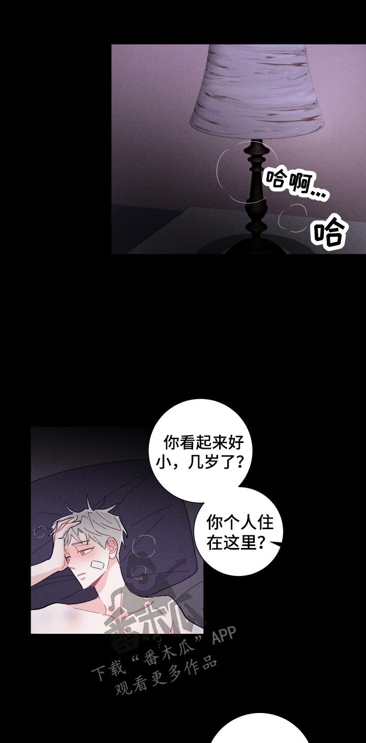 《命运纠缠》漫画最新章节第41章：欺骗与谎言免费下拉式在线观看章节第【11】张图片