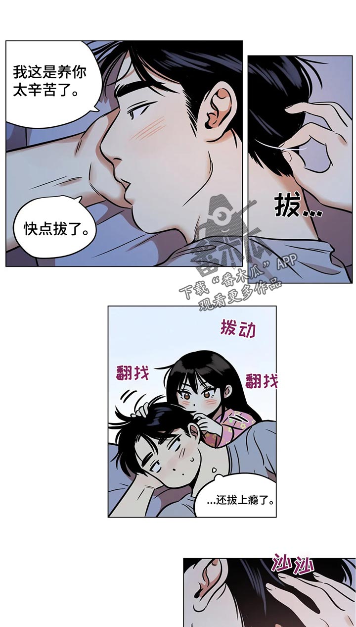 《鸠占鹊巢》漫画最新章节第29章：白头发免费下拉式在线观看章节第【6】张图片