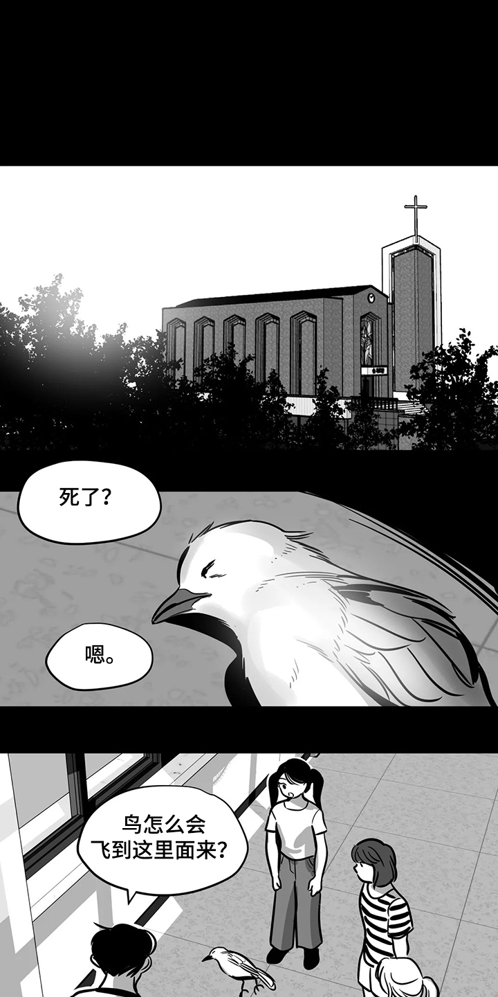 鸠占鹊巢-第65章：【第二季】撞死的鸟全彩韩漫标签