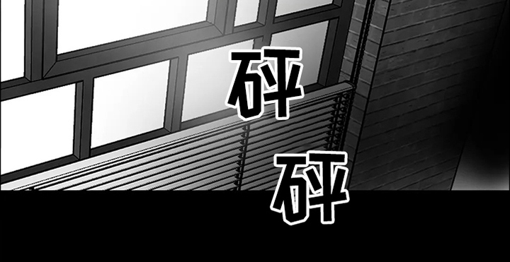 《鸠占鹊巢》漫画最新章节第65章：【第二季】撞死的鸟免费下拉式在线观看章节第【4】张图片