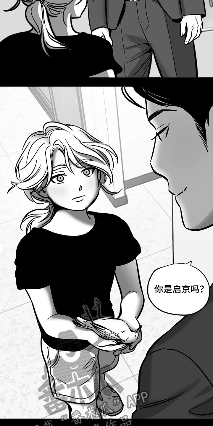 《鸠占鹊巢》漫画最新章节第65章：【第二季】撞死的鸟免费下拉式在线观看章节第【15】张图片