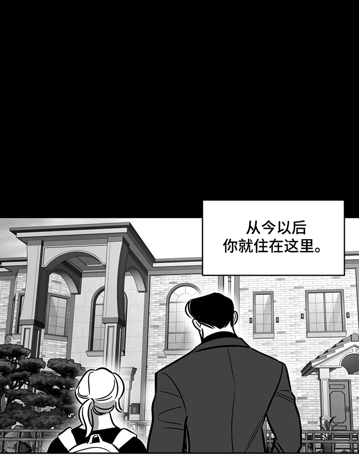 《鸠占鹊巢》漫画最新章节第65章：【第二季】撞死的鸟免费下拉式在线观看章节第【10】张图片