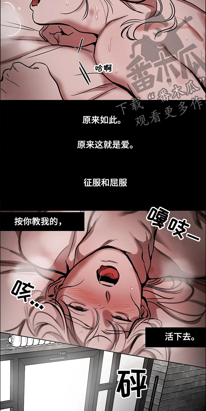 《鸠占鹊巢》漫画最新章节第65章：【第二季】撞死的鸟免费下拉式在线观看章节第【5】张图片