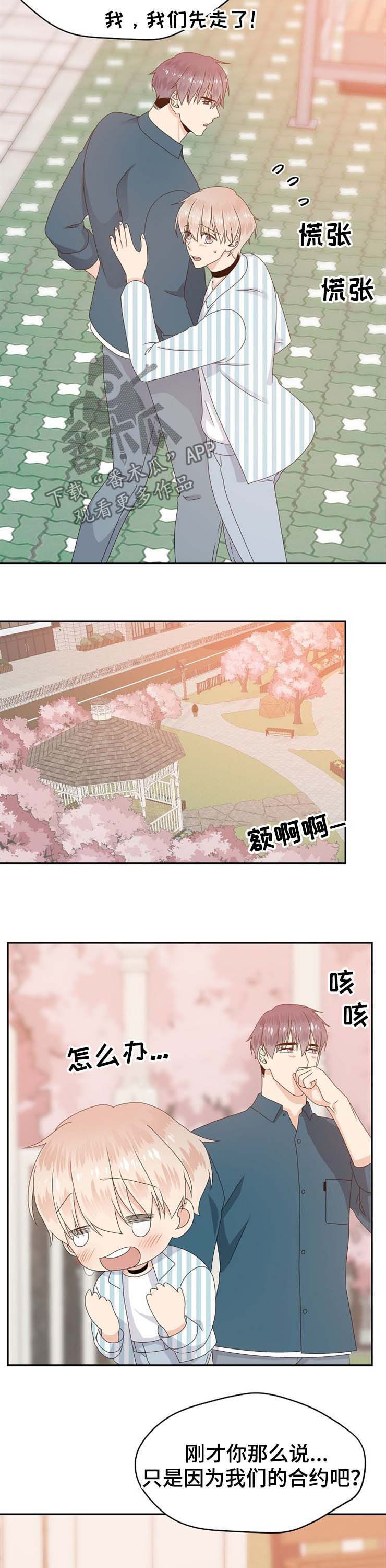 《欧米伽合约》漫画最新章节第30章：男朋友免费下拉式在线观看章节第【4】张图片