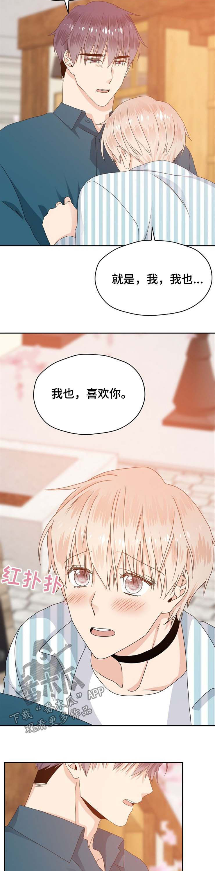 《欧米伽合约》漫画最新章节第31章：回答免费下拉式在线观看章节第【8】张图片